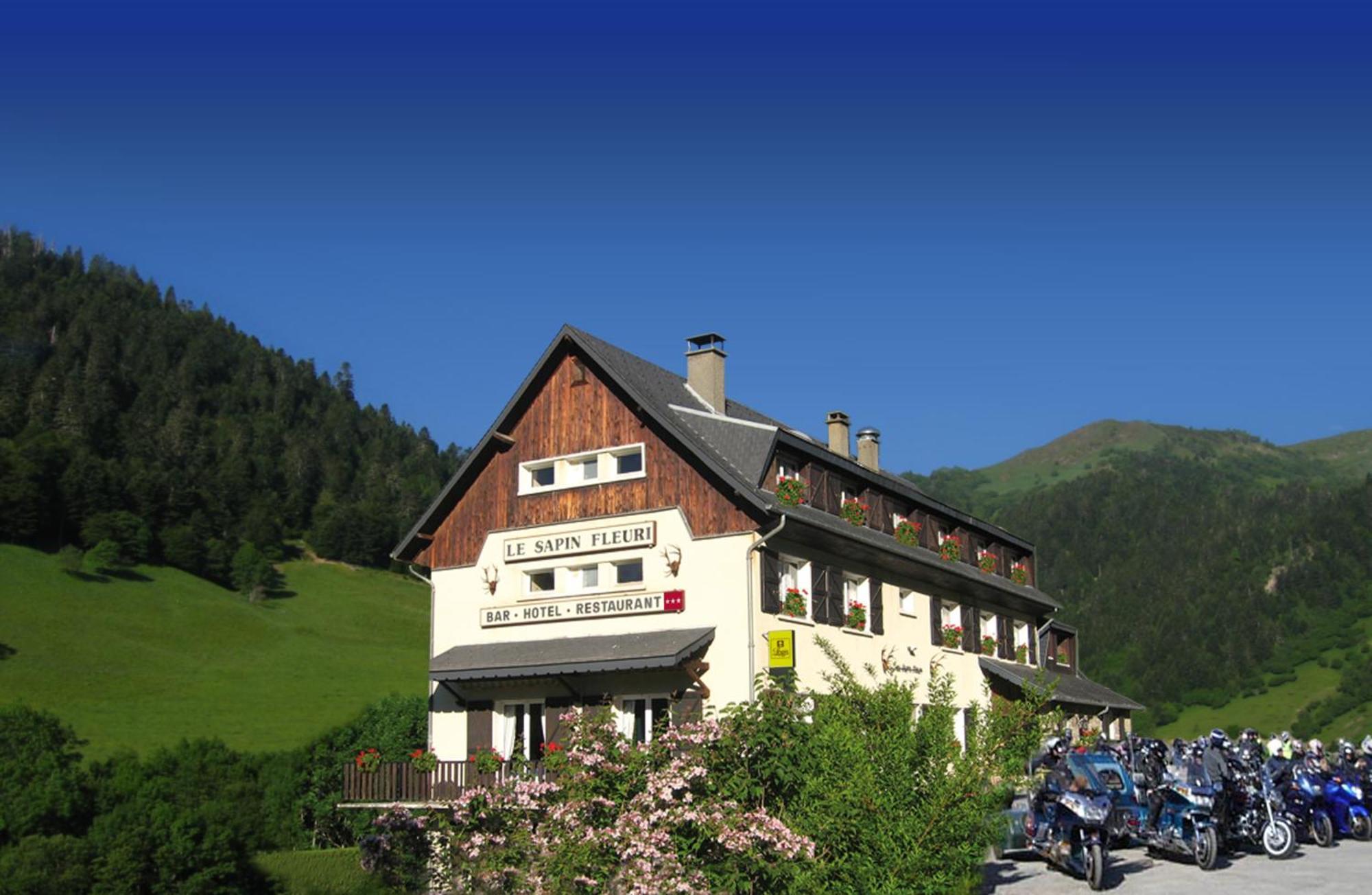 Hotel - Restaurant - Bar - Le Sapin Fleuri Bourg d'Oueil Exterior photo